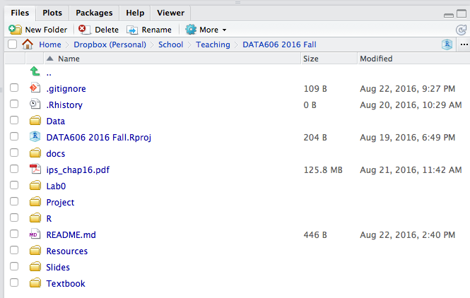 RStudio Files Panel